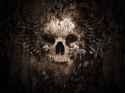 skull wall.jpg