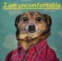 iamuncomfortable.jpg