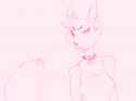 ds.png