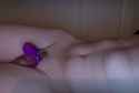 Capture444.jpg