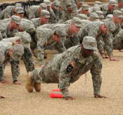 armymil.jpg