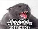 nice_things.jpg