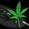 maple leaf.gif