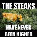 56961990753584510824e4_meme_high_steaks.jpg