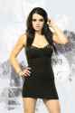 Paige-nxt-divas-34387807-333-500.jpg