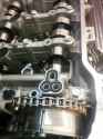 more toyota dick.jpg