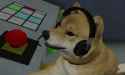 sh2woof.jpg