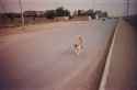 FB_IMG_1479272756434.jpg