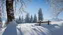 winter_sol.jpg