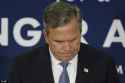 jeb.jpg