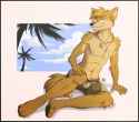 1436129686.gothwolf_swimwear_avany.jpg