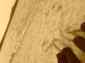 20130913_170218.jpg