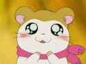 hamham30.jpg