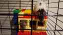 01717_2pNZAYGS0Ar_600x450.jpg