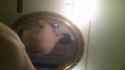 20161112_162042.jpg
