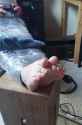 20160318_164747.jpg