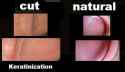 cut vs normal.jpg