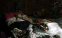 mental-ill-woman-keep-deceased-daughter-4-years-lithuania14.jpg