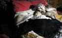 mental-ill-woman-keep-deceased-daughter-4-years-lithuania44.jpg