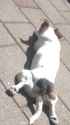IMAG0218.jpg