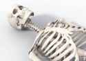 skellington.jpg
