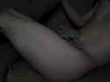 TPhoto_00004.jpg