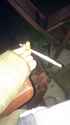 received_679550965540805.jpg