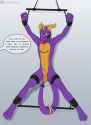 torin_10-23-15_spyro.jpg
