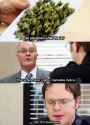 northern-lights-cannabis-indica-210097.jpg