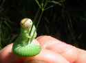 IMG_1671.jpg