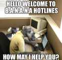HarambeHotline.jpg