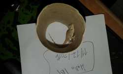 20161117_131606.jpg