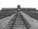 Auschwitz Birkenau.jpg