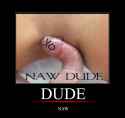 nawdude.jpg