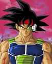 Bardock.jpg