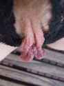 0_mbn62y7_MYN1qbe7cyo1_500.jpg