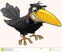 cartoon-angry-bird-crow-smiling-black-59232822.jpg