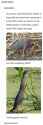 FB_IMG_1472716639407.jpg