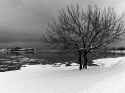 winter_dark.jpg