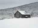 winter_gray.jpg