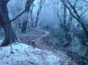 winter_black.jpg