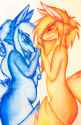 1479065133.sumisune_img_0874.jpg