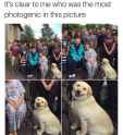 Doggo.jpg