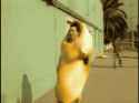 gif-banana-697812.gif