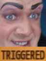 triggered.jpg