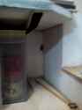 received_404861596570321.jpg