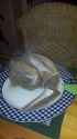 received_492984467534216.jpg