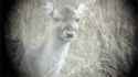 1479526976756.gif