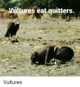 Quitters.png