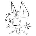 racoooon.png